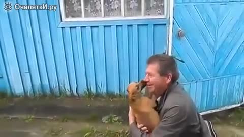 Кученца се радват на завърналия си стопанин