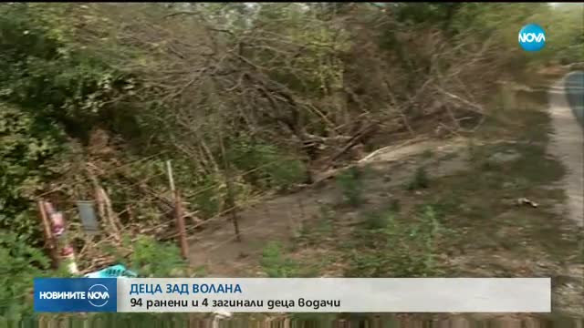 ДЕЦА ЗАД ВОЛАНА: 4 загинали и 94 ранени непълнолетни водачи