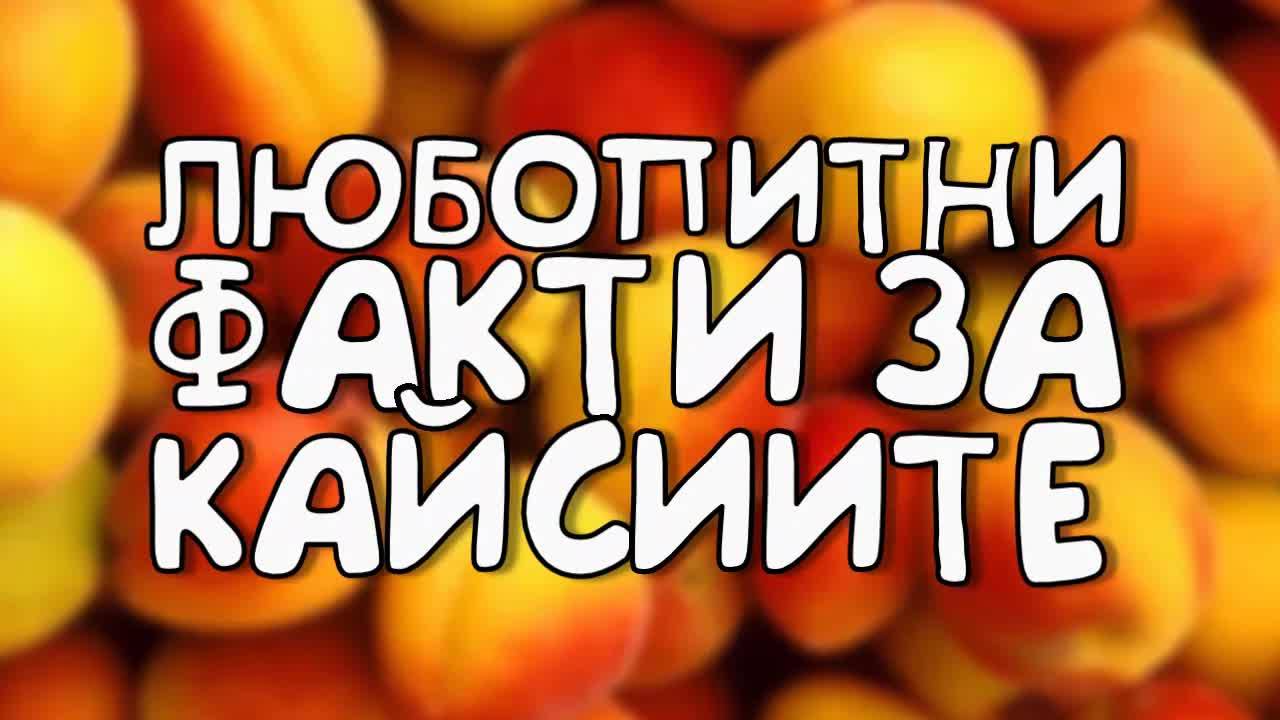 Любопитни факти за кайсиите