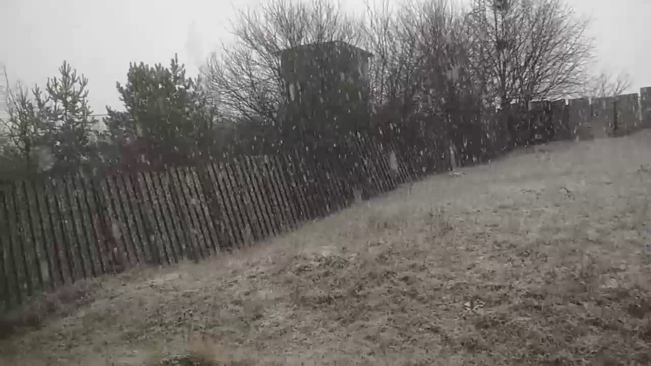 Сняг се сипе на парцали в Перник