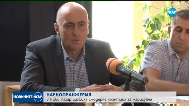 Разбиха модерна оранжерия за отглеждане на канабис