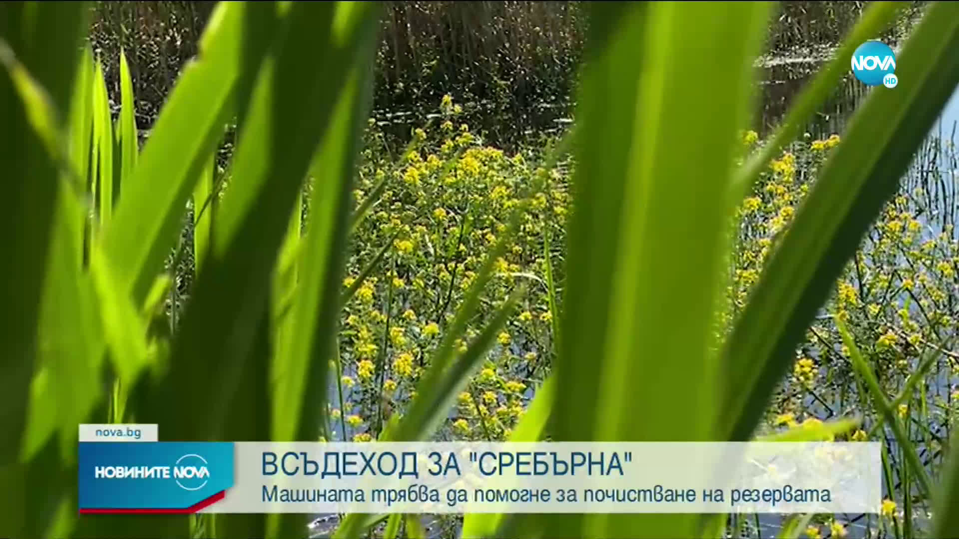 Уникален всъдеход ще коси тръстиката в резервата „Сребърна”