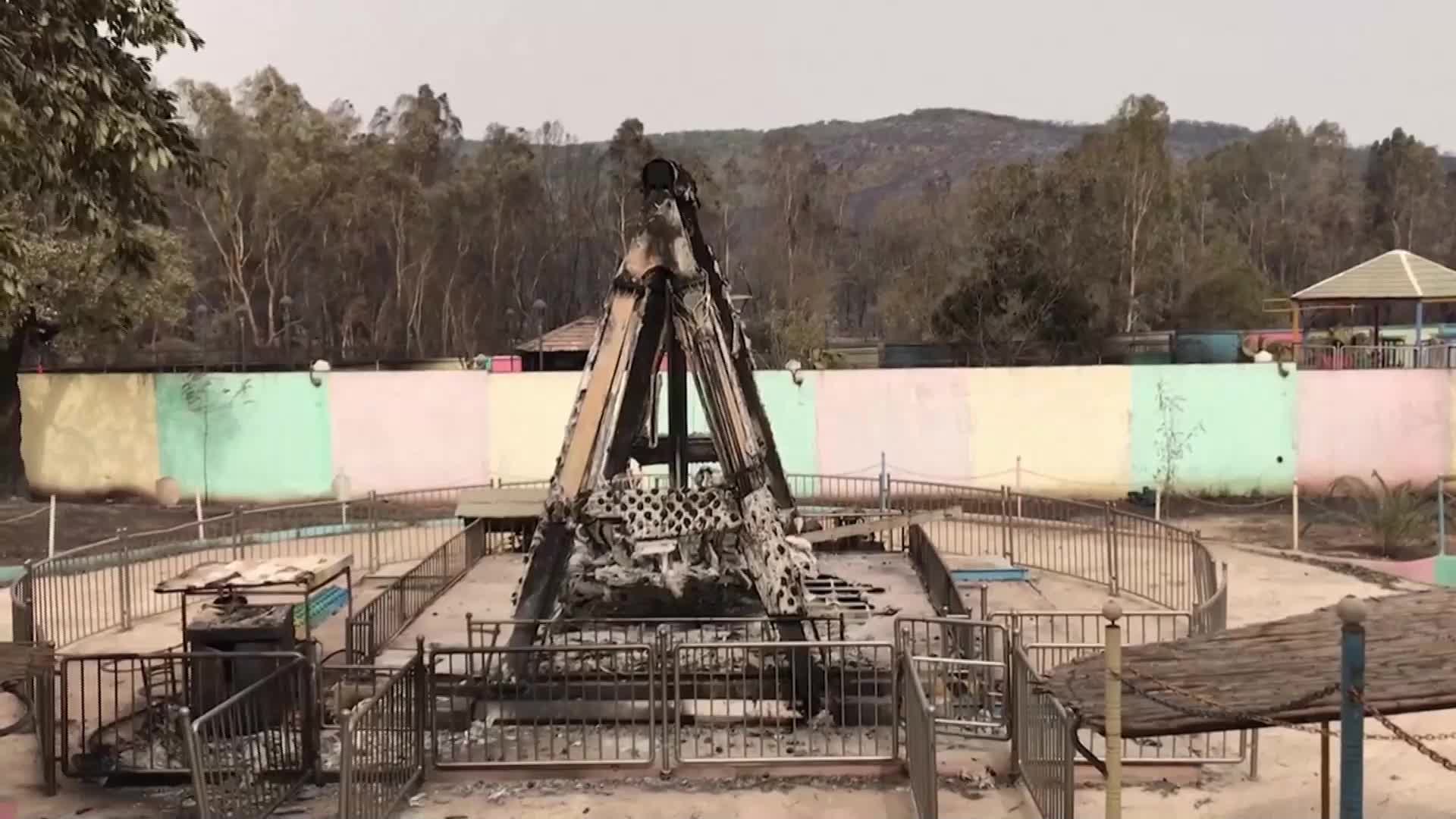 26 са вече потвърдените жертвите на пожарите в Алжир (ВИДЕО)