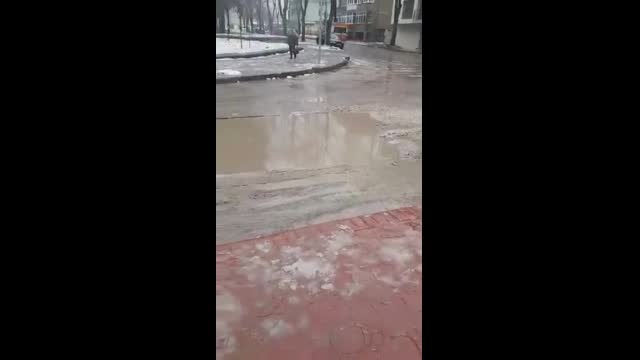 "Моята новина": “Качествени ремонти” на ВиК Добрич
