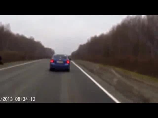 Кола блъсна мечка в Русия, тя стана и си отиде