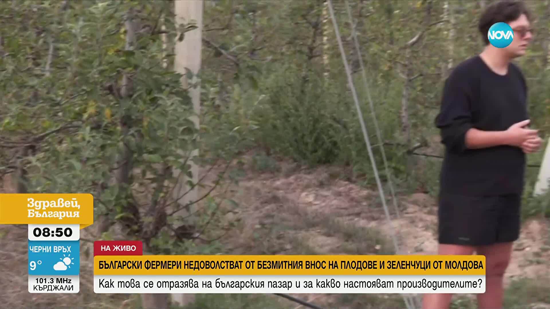 Ще изчезнат ли българските плодове и зеленчуци заради безмитния внос от Молдова