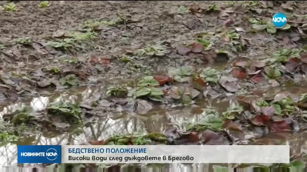 БЕДСТВЕНО ПОЛОЖЕНИЕ: Община Брегово остава в готовност за евакуация