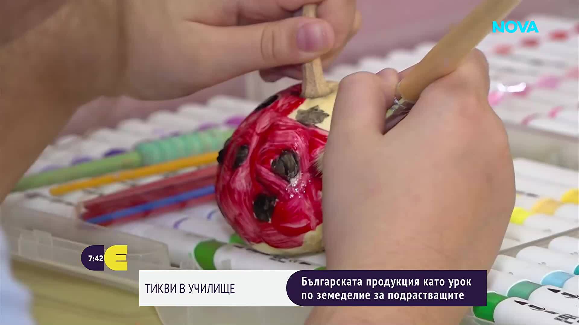 От полето с тикви до класната стая: Как една българска фермерка учи децата на любов към храната