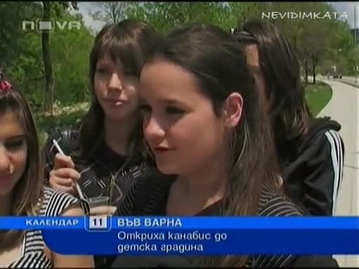 К`ва Случка! - Детска Градина В Близост До 1 Декар Канабис!