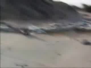 Луд Човек.