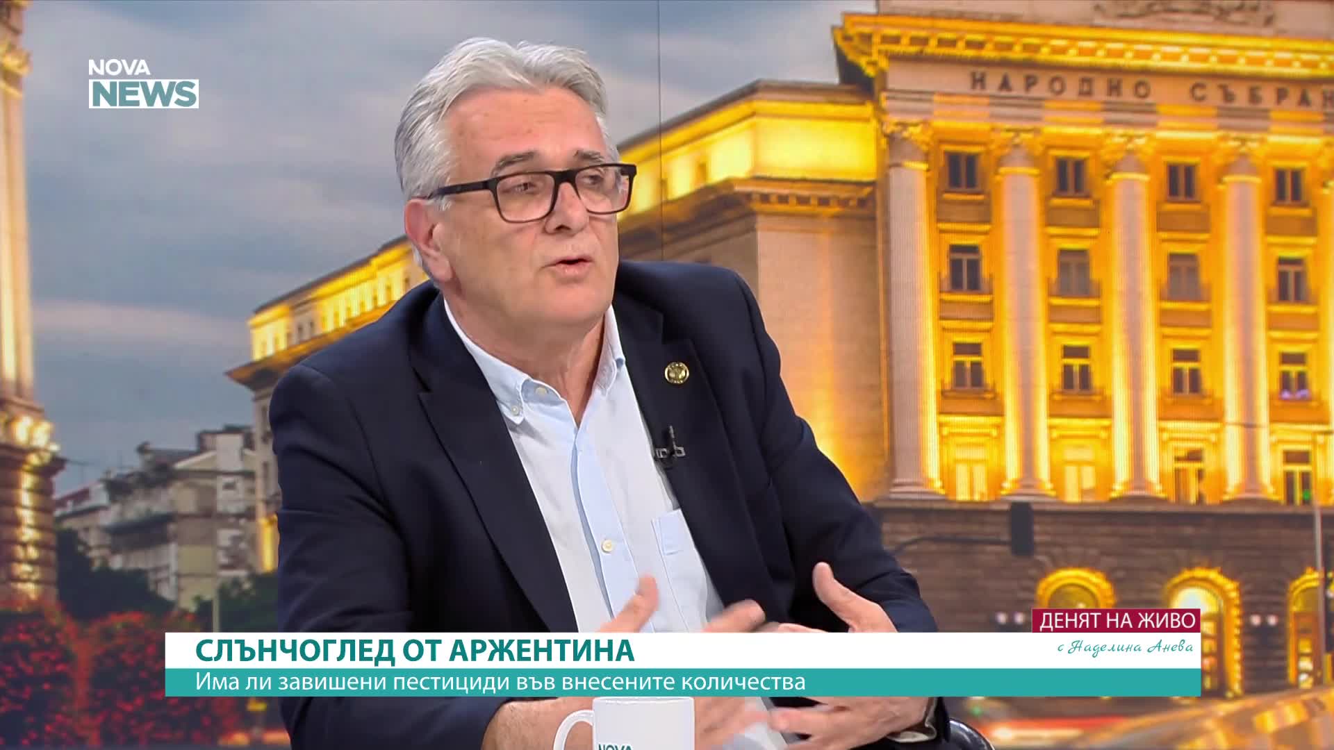 Яни Янев за слънчогледа от Аржентина: Ще се ползва за индустриални цели, суровината у нас не е доста