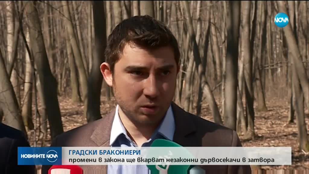 СРЕЩУ СЕЧТА В ПАРКОВЕТЕ: ВМРО иска затвор за нарушителите
