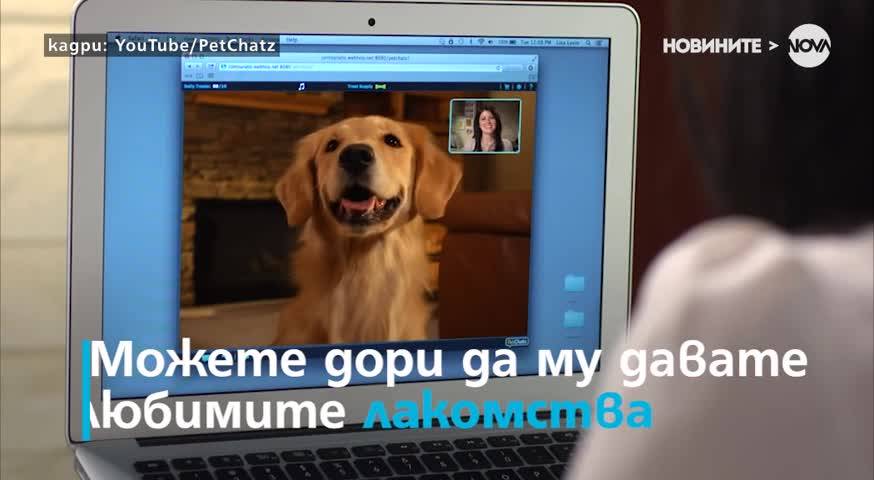 Измислиха как да следите домашния любимец, когато не сте си вкъщи