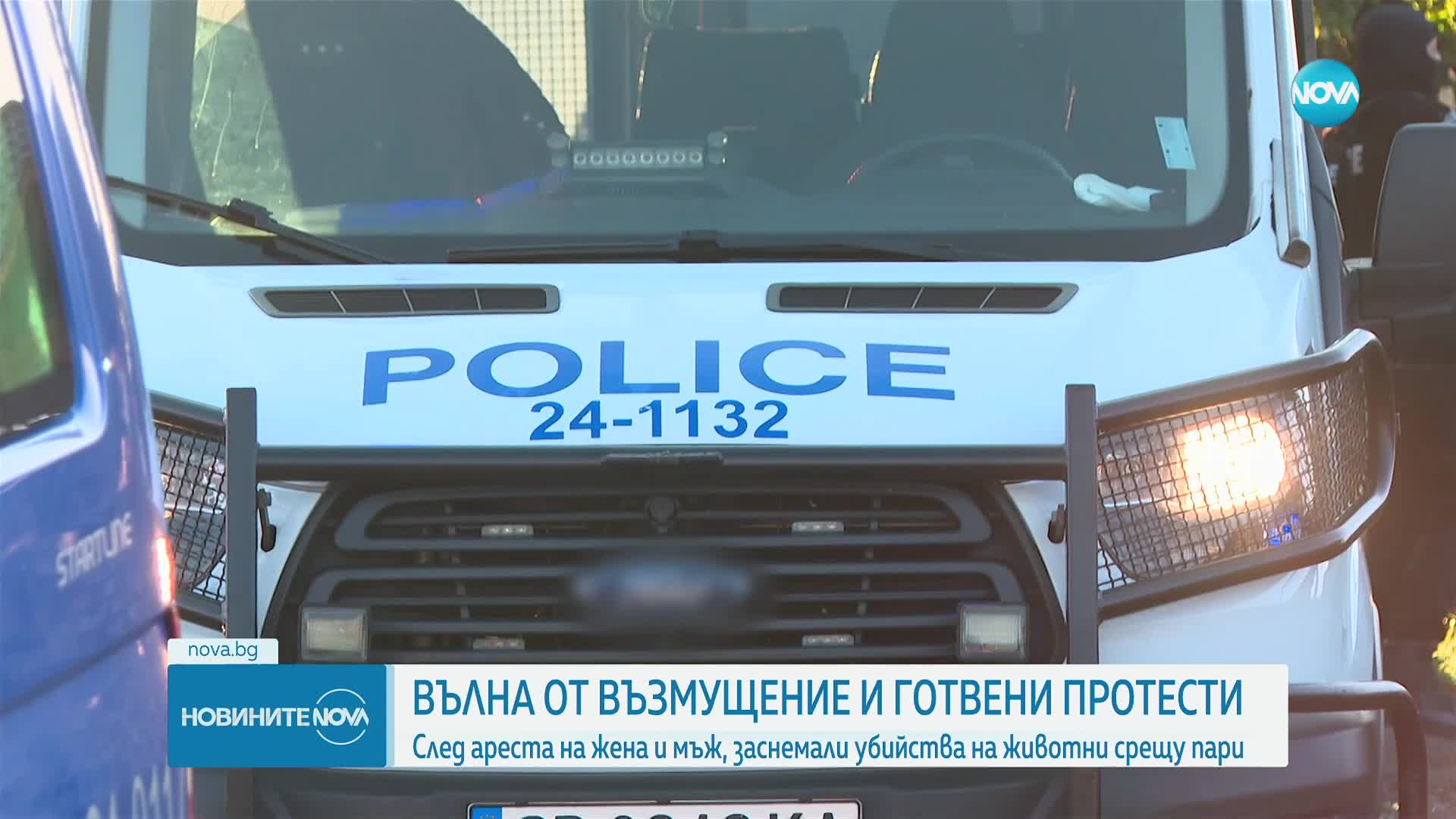 Вълна от реакции след случаите на насилие над животни
