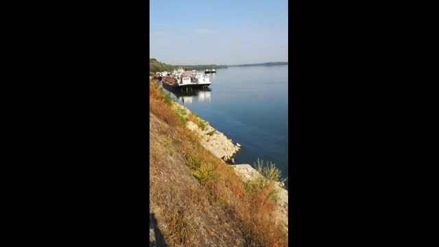 "Моята новина": Замърсяване на р. Дунав при пристанище Свищов