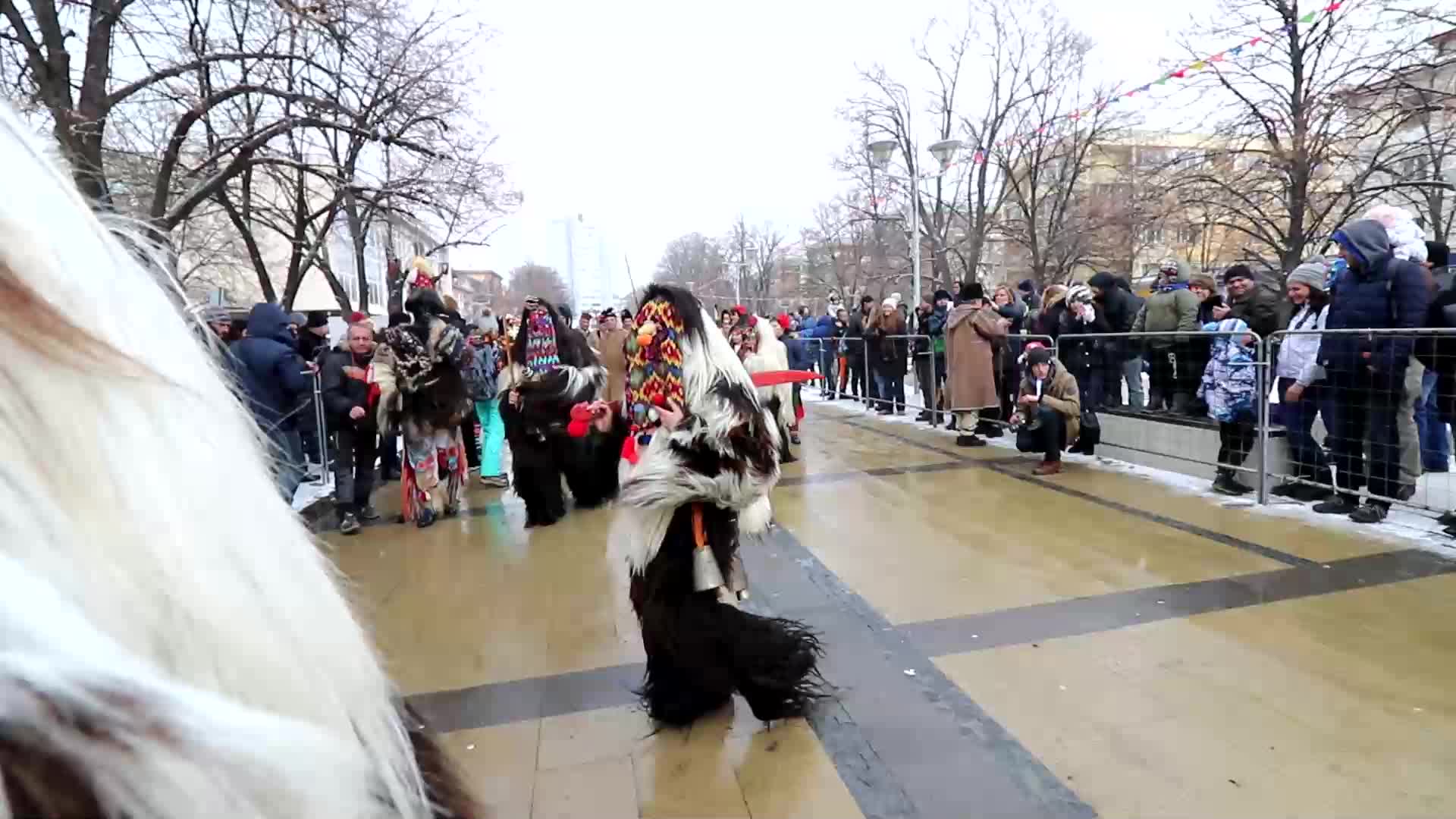 Сурва в Перник
