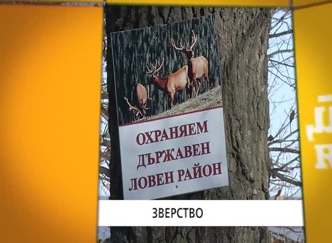 В "Здравей, България" на 2 февруари очаквайте