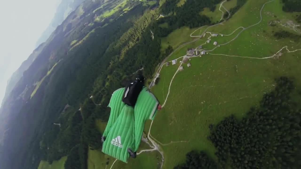 Куче за първи път лети с Wingsuit заедно със стопанина си !