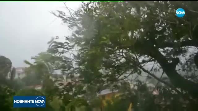 Един загинал и двама изчезнали на о. Гваделупа след урагана "Мария"