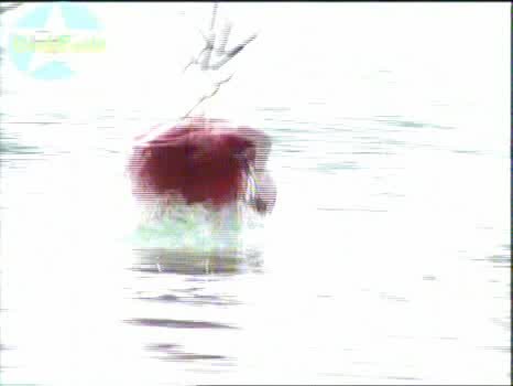 Survivor 3 : Епизод 7 (част 4) 03.10.08