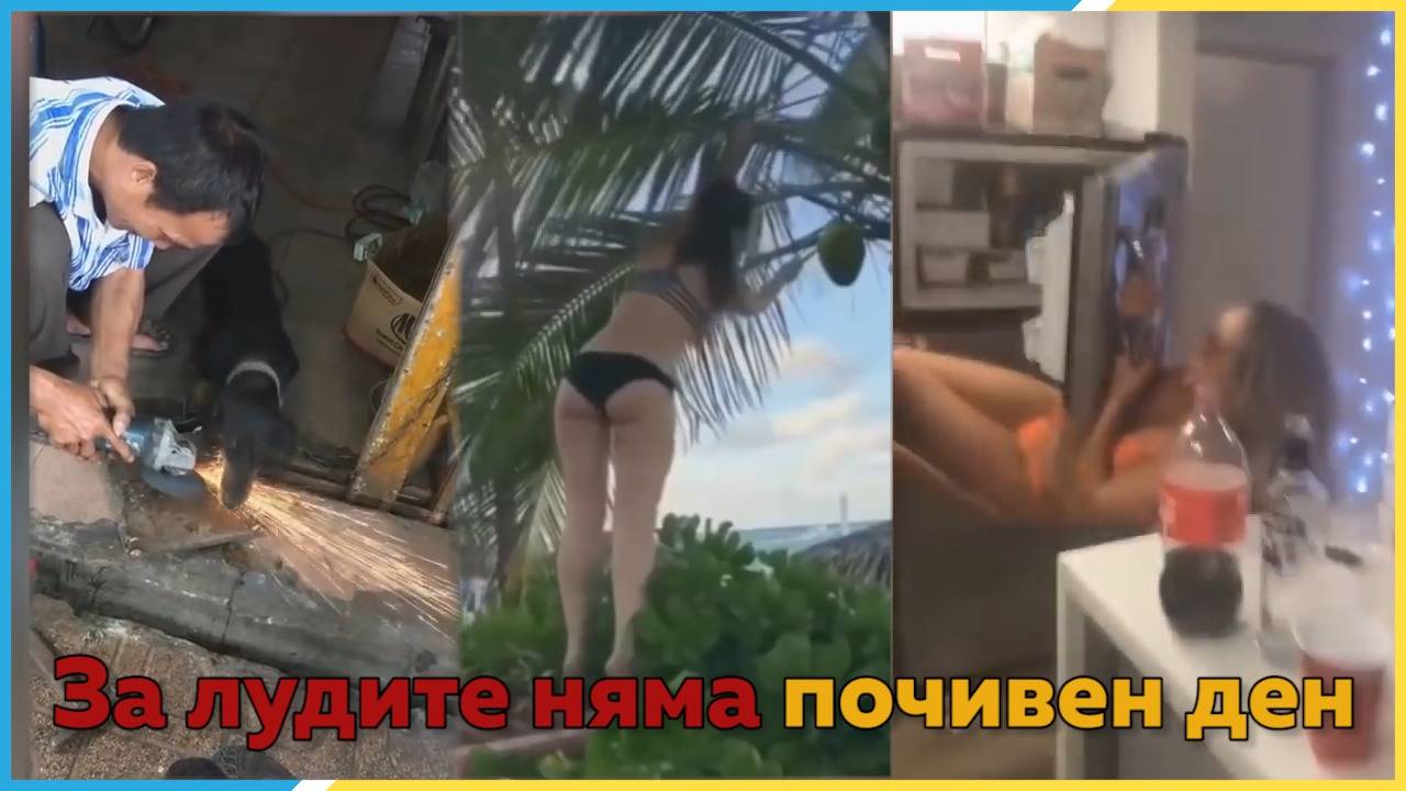 23 от най-смешните гаджета и домашни любимци на ПЛАНЕТАТА! :D