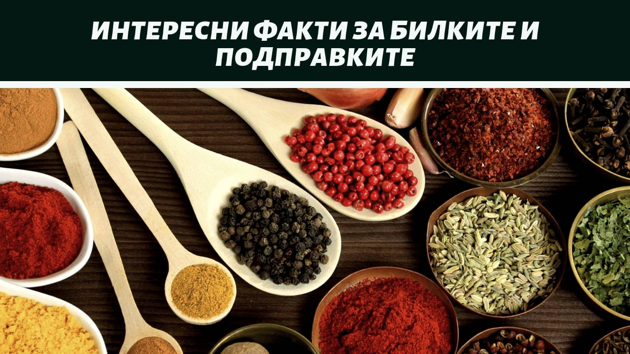 Интересни факти за билките и подправките