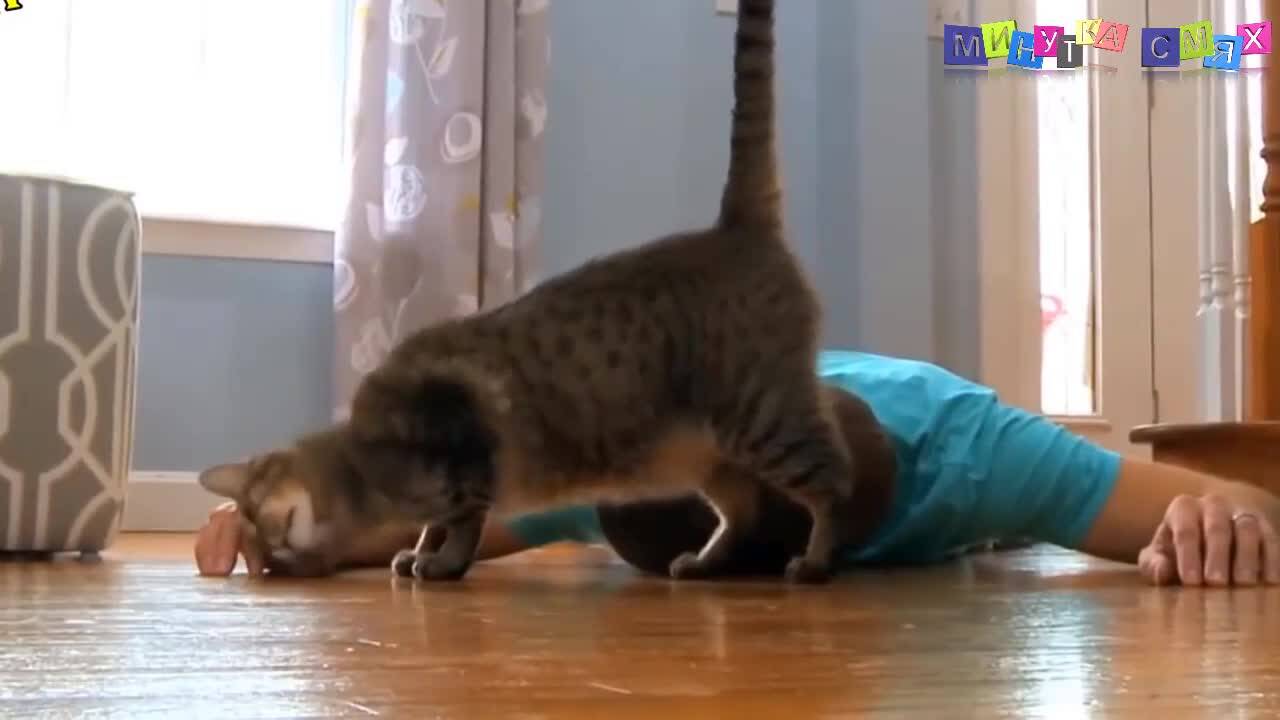 Забавно видео за добро настроение! - Минутка смях