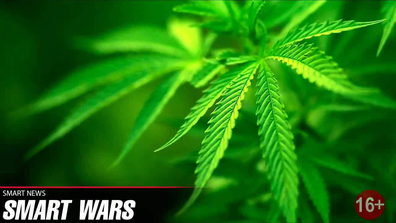 Smart Wars еп.7 Марихуаната