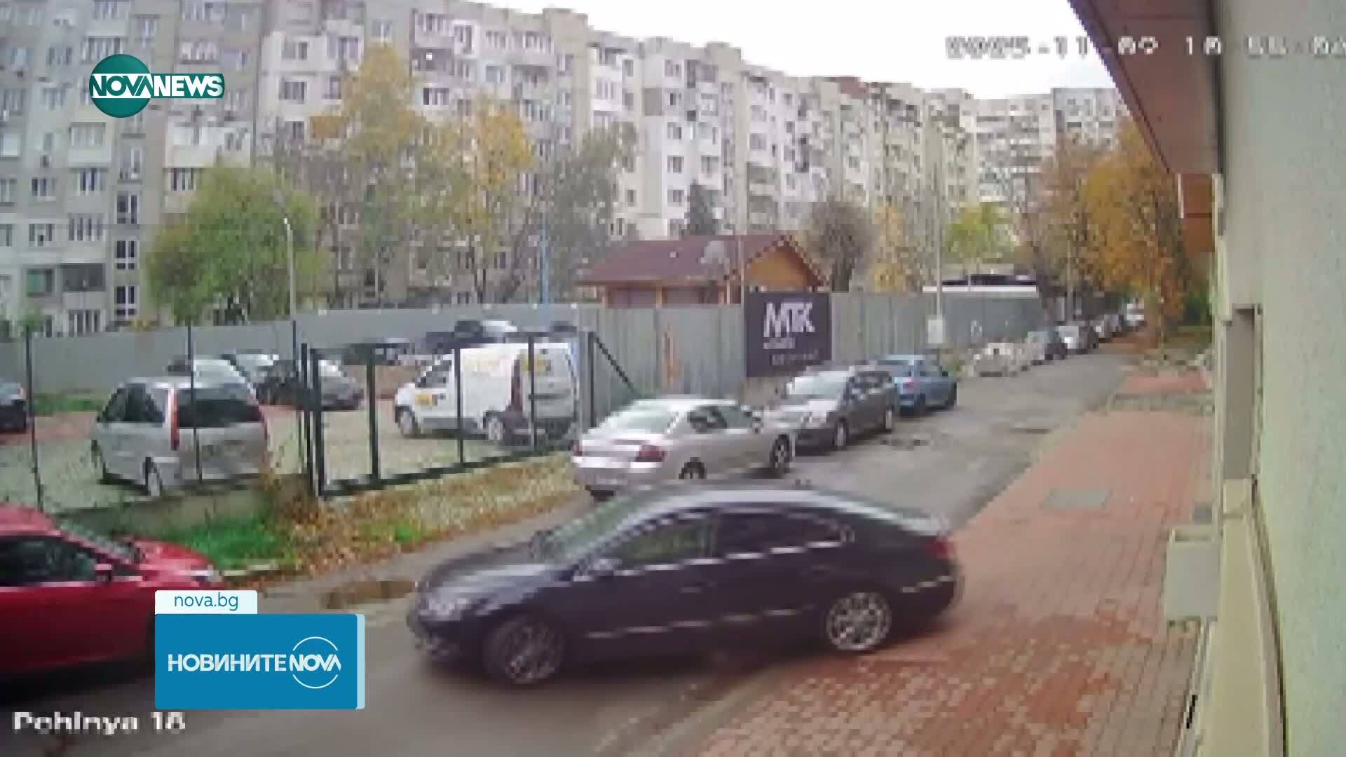 Кола прегази куче в столичния квартал "Разсадника"