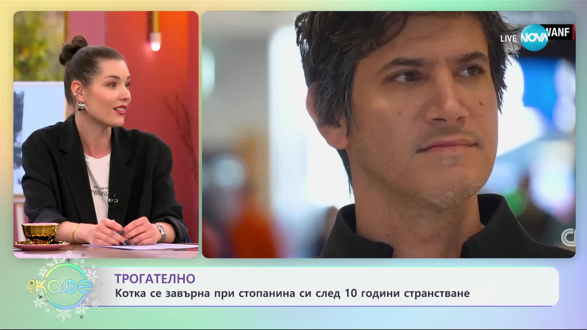 Трогателно: Котка се завърна при стопанина си след 10 години странстване - „На кафе“ (18.12.2024)