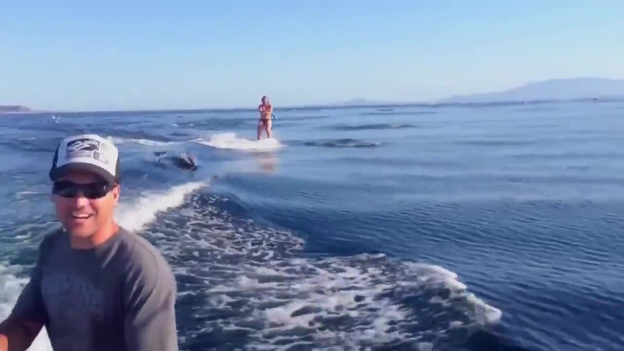 Стадо делфини застига момиче в открито море