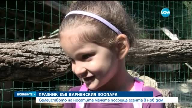 Семейството на носатите мечета посреща есента в дом във Варна