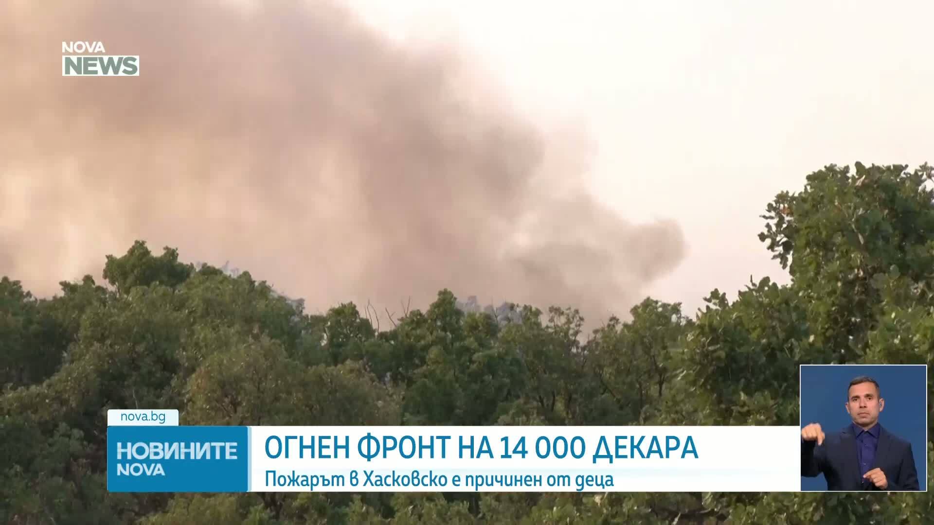 Пожарът в Хасковско вече е локализиран