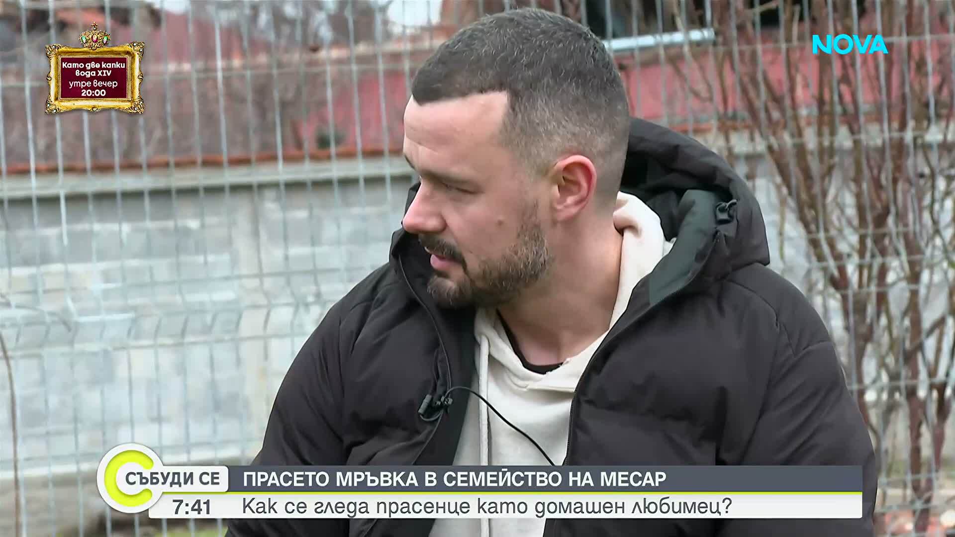 Необичайният домашен любимец на един месар: Историята на прасенцето Мръвка