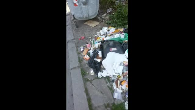 "Моята новина": Пълен абсурд