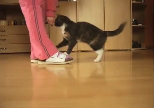 Умна и красива!