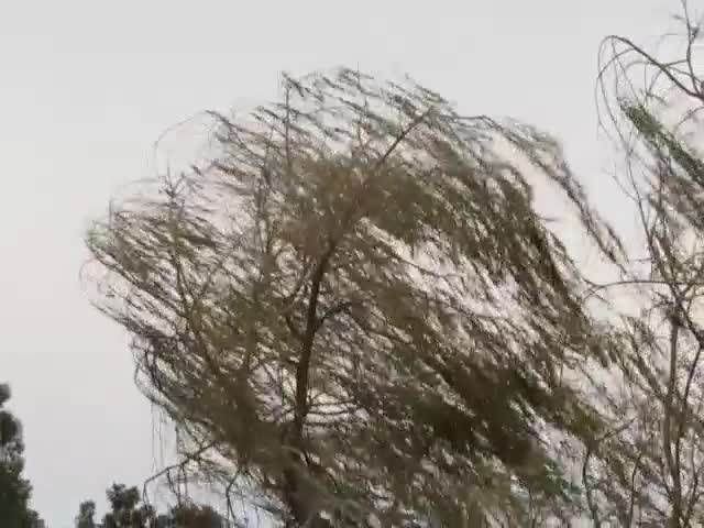 Бурен и студен вятър в Разградско!