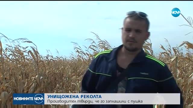 Новините на NOVA (08.09.2017 - централна емисия)