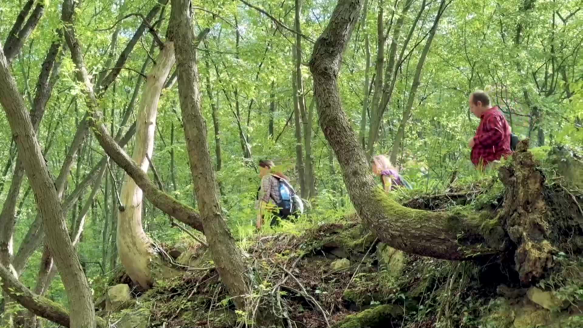„Дотам и обратно”: Измерване на водопади