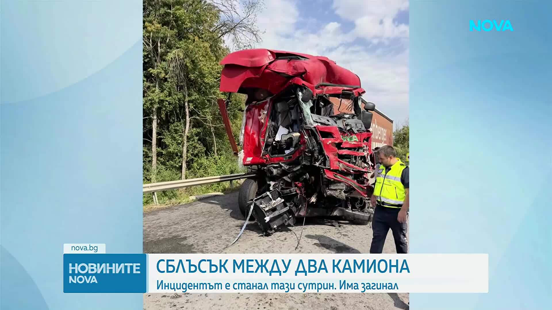 Шофьор загина след челна катастрофа между два камиона в Плевенско