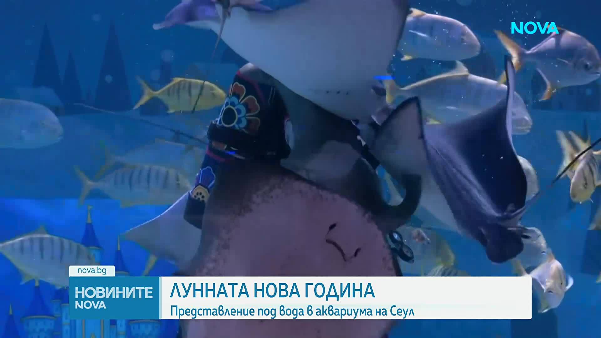 Новините на NOVA (11.02.2026 - 9.00)