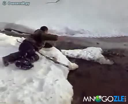 Руснак лови риба