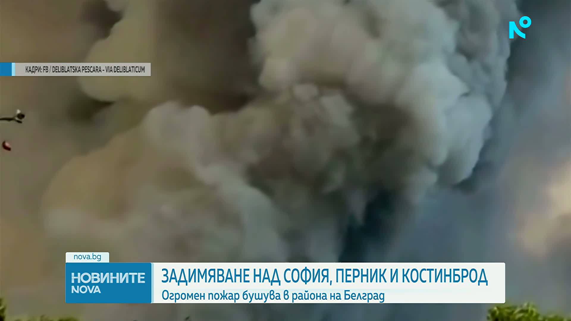 Части от Западна България са задимени заради огромен пожар в Сърбия, активираха BG-Alert