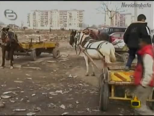 Роми Ни Учат Как Да Лъжем И Крадем!(г. На Ефира)