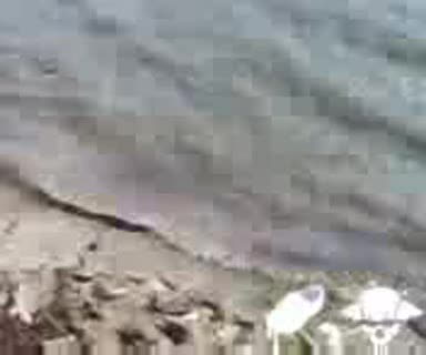 Не Влизайте Във Водата По Този Начин