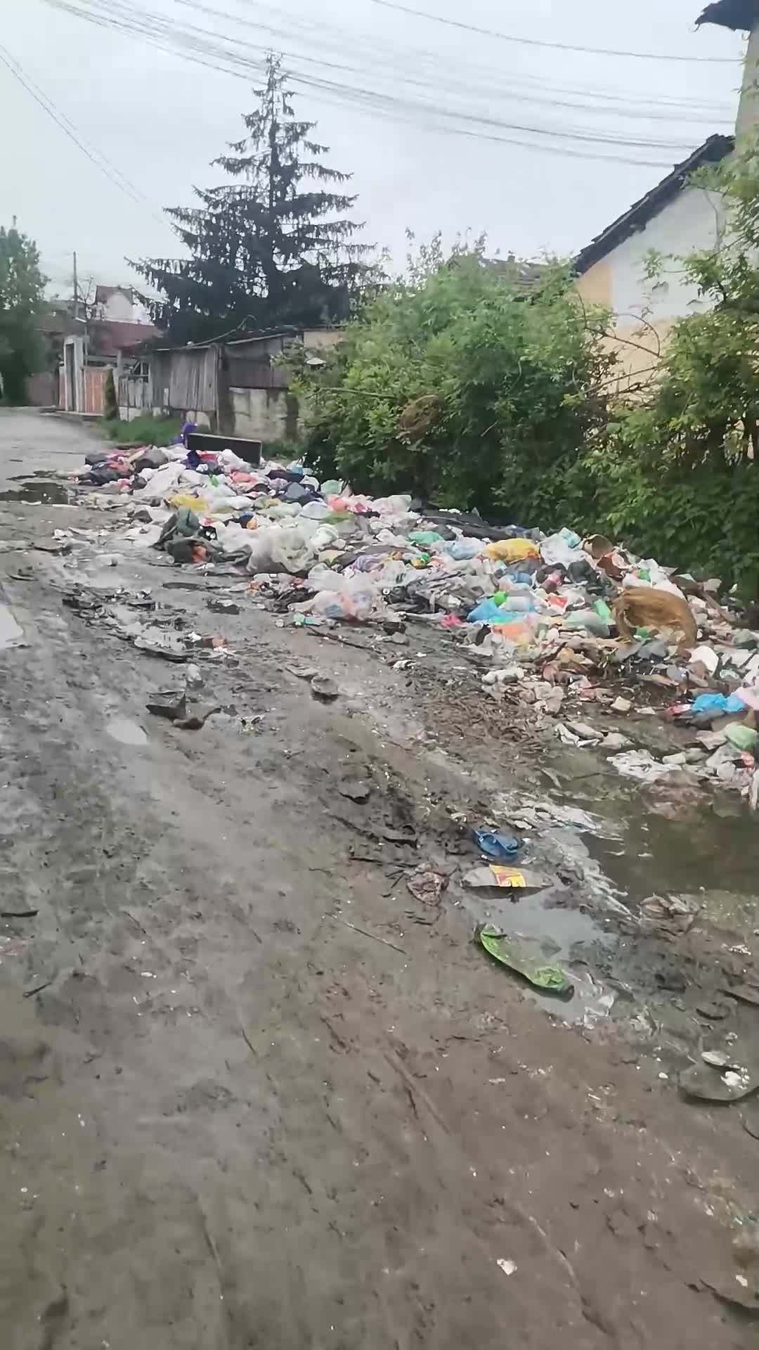 Незаконно сметище в Западен парк