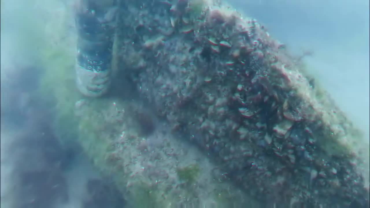 Откриха уникална котва в Царево, която остава под вода като морска атракция