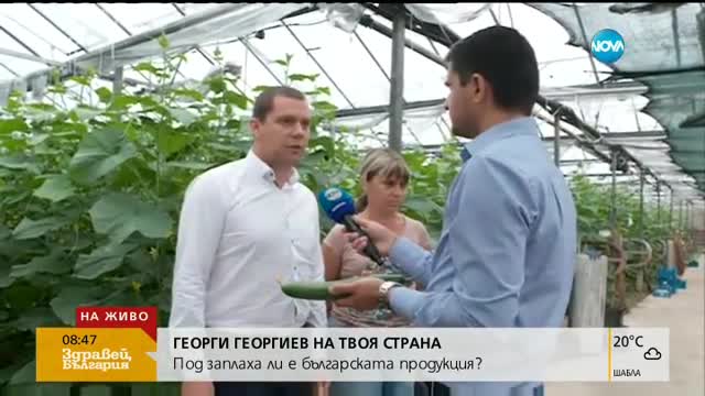 Защо ядем все повече плодове и зеленчуци от Гърция?