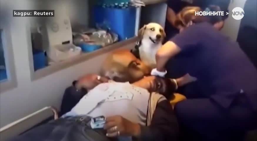 Кучета придружиха стопанина си в болницата