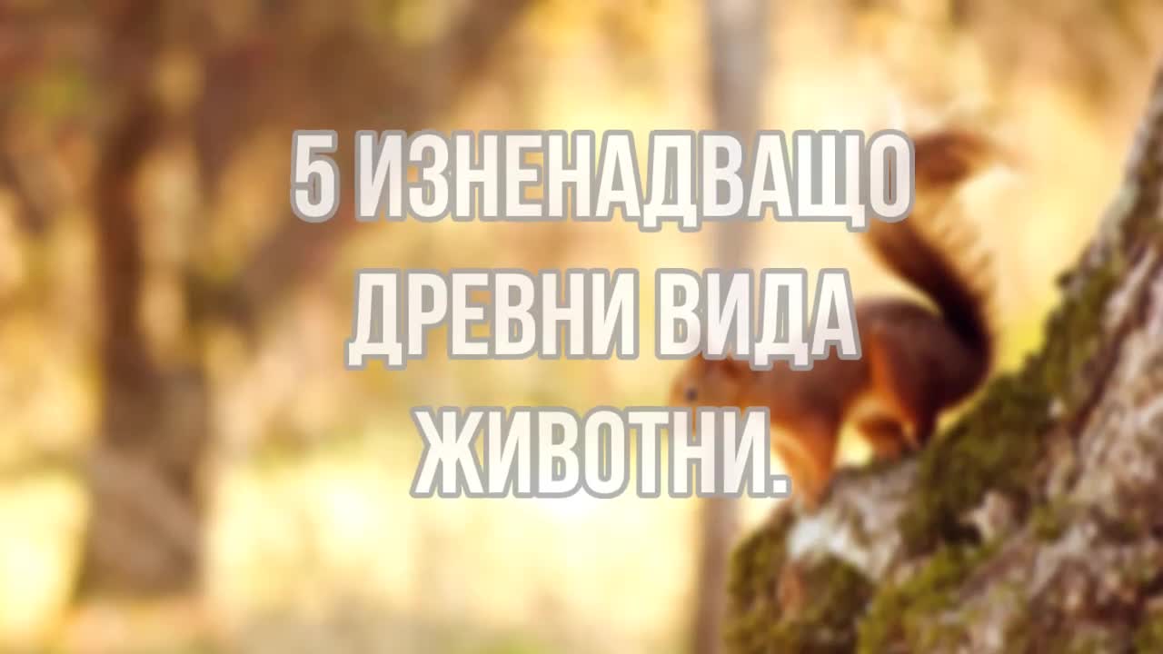 5 Изненадващо древни вида животни.